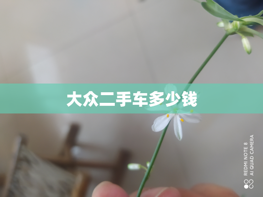 大众二手车多少钱