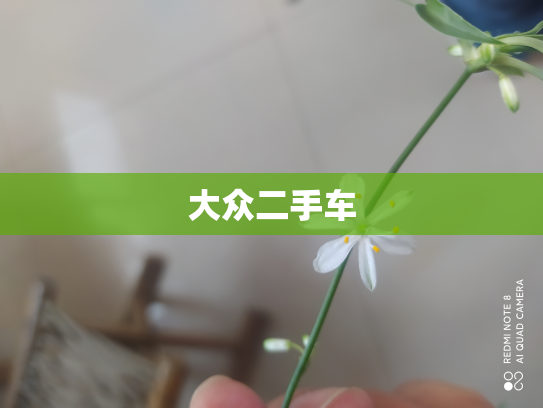 大众二手车