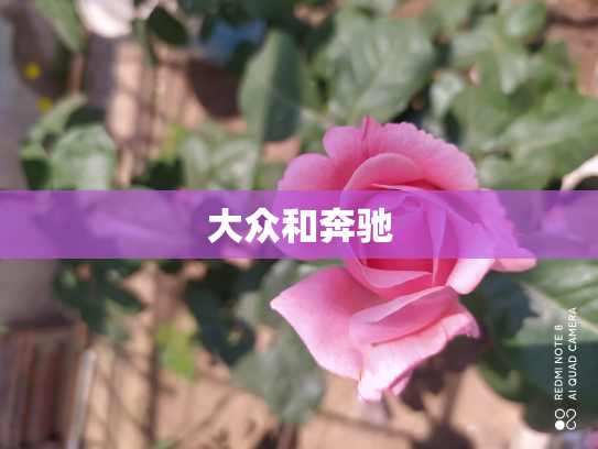 大众和奔驰