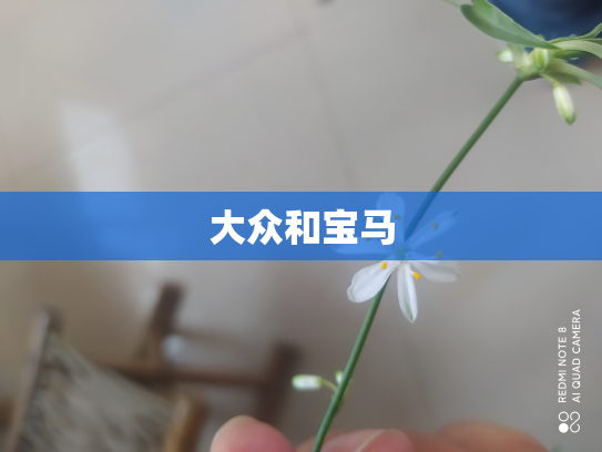 大众和宝马
