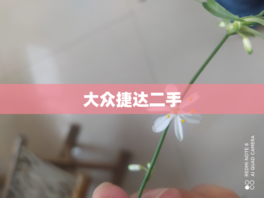 大众捷达二手