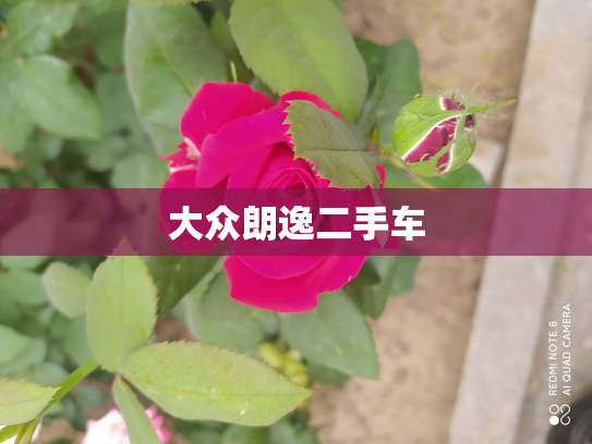 大众朗逸二手车