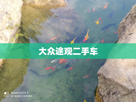 大众途观二手车