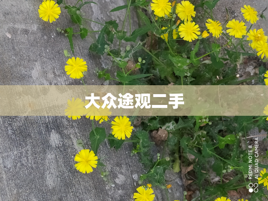 大众途观二手