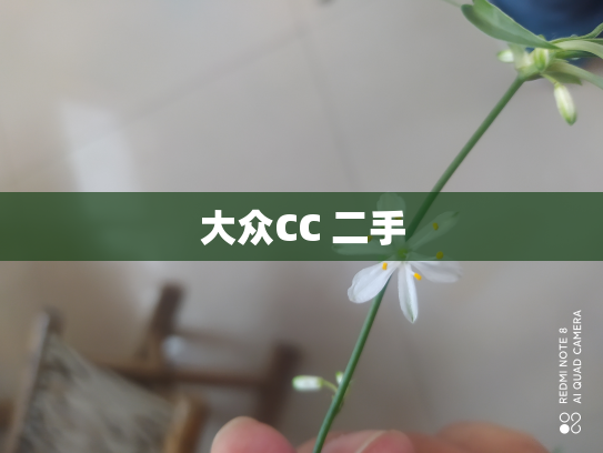 大众CC 二手