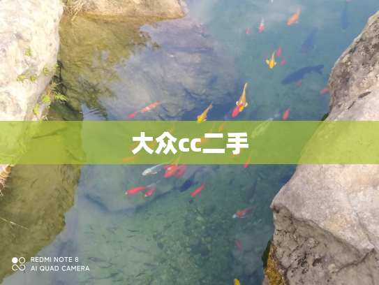 大众cc二手