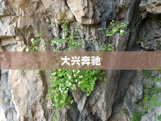 大兴奔驰
