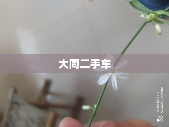 大同二手车