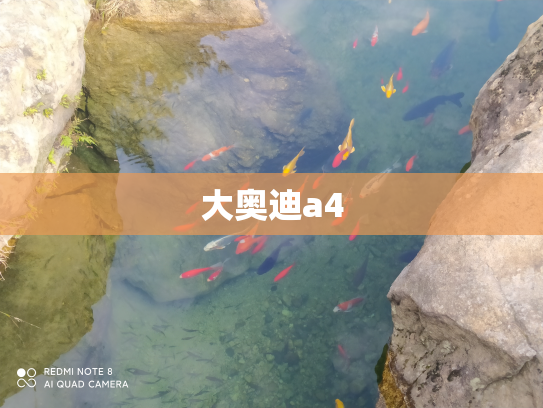 大奥迪a4
