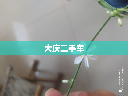 大庆二手车