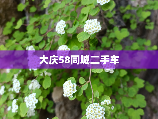 大庆58同城二手车