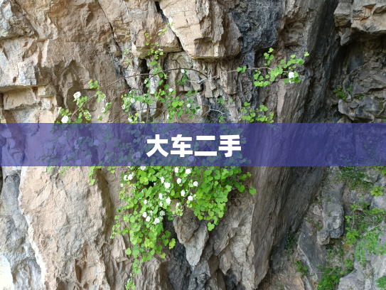 大车二手