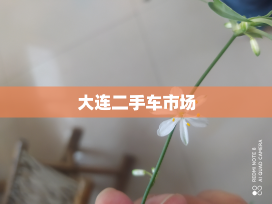 大连二手车市场