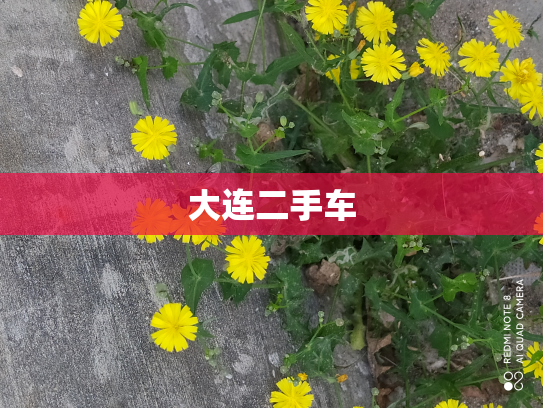 大连二手车