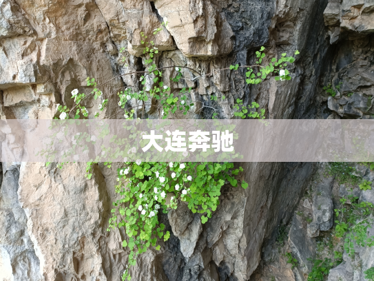 大连奔驰