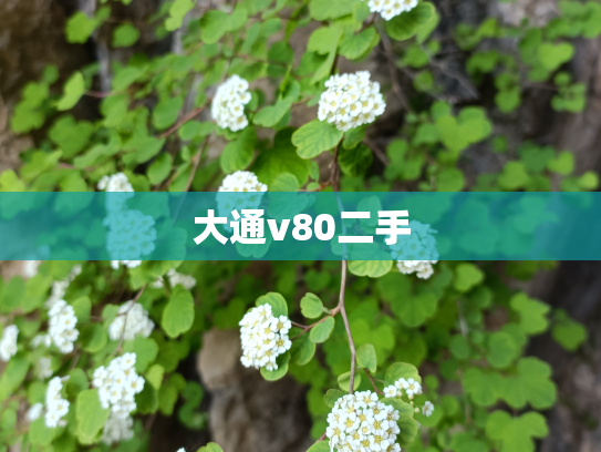 大通v80二手