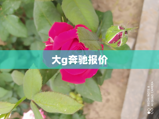 大g奔驰报价