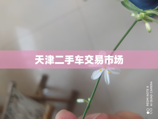 天津二手车交易市场