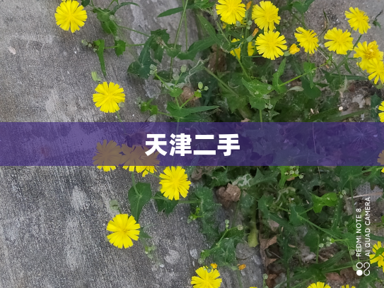 天津二手