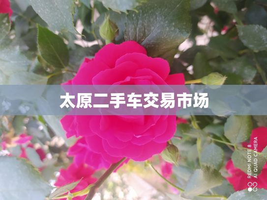 太原二手车交易市场