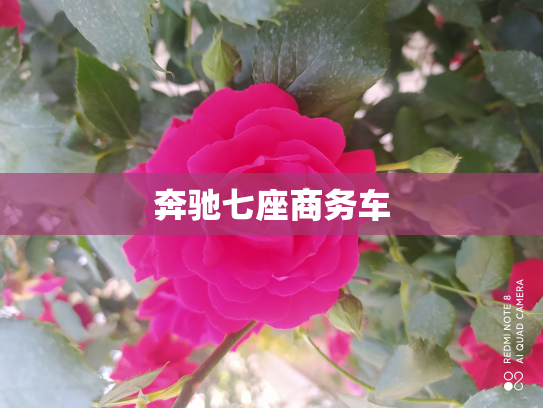 奔驰七座商务车