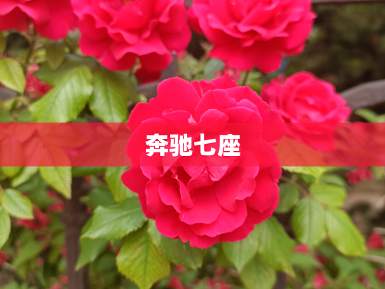 奔驰七座