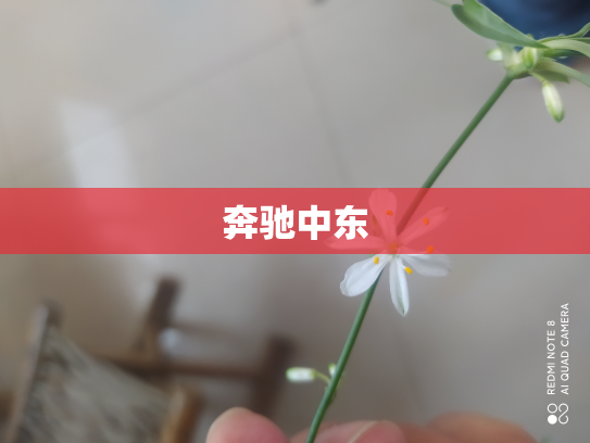 奔驰中东