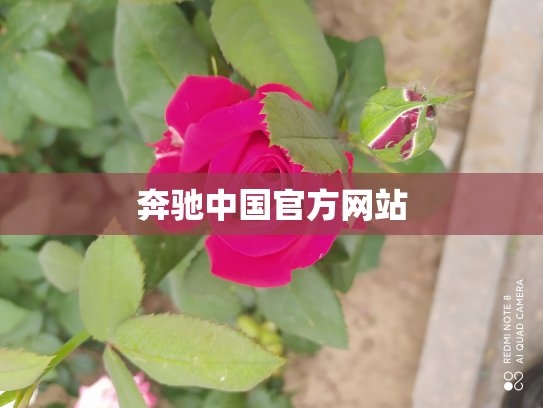奔驰中国官方网站