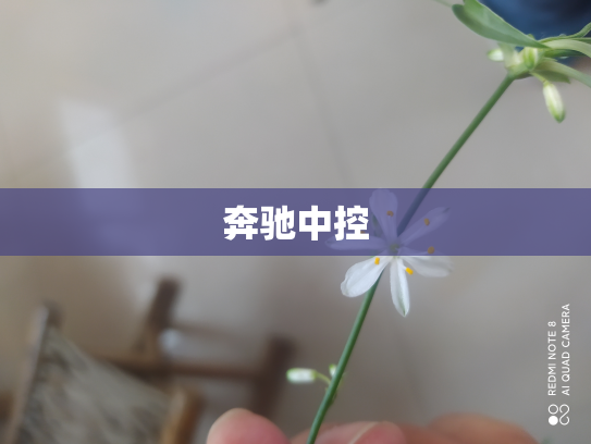 奔驰中控