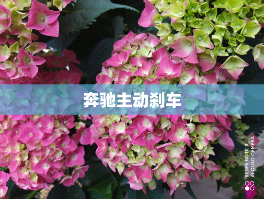 奔驰主动刹车