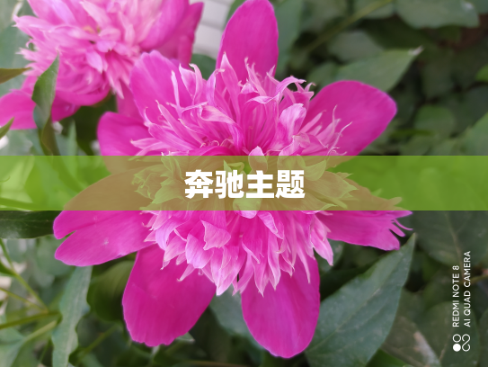 奔驰主题