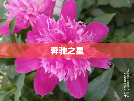 奔驰之星