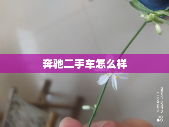 奔驰二手车怎么样
