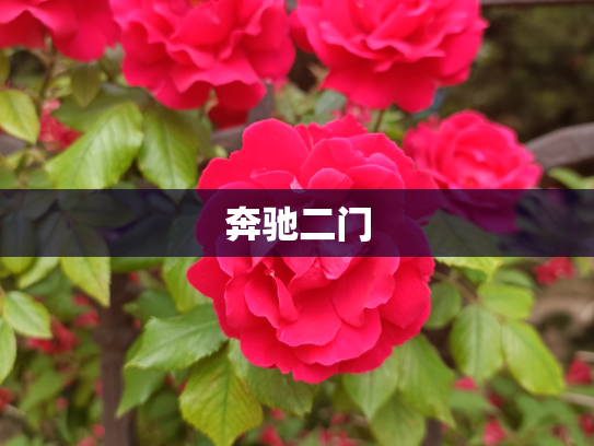 奔驰二门