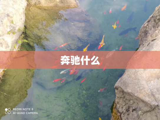奔驰什么