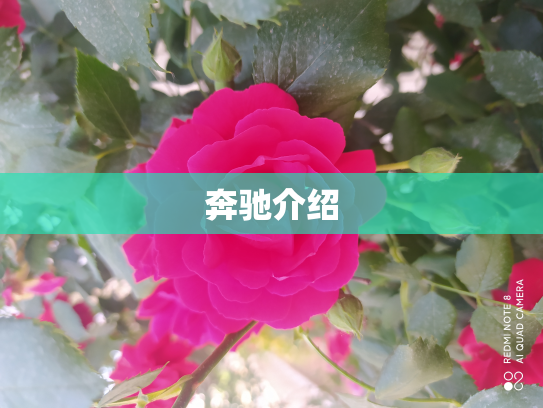 奔驰介绍