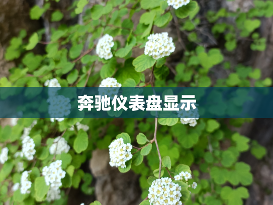奔驰仪表盘显示
