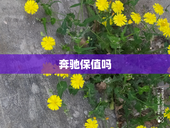 奔驰保值吗
