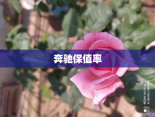 奔驰保值率