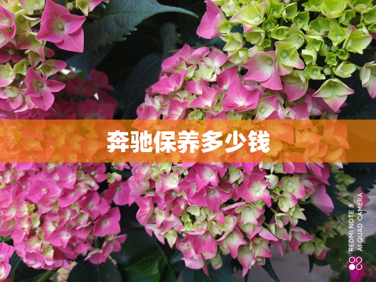 奔驰保养多少钱