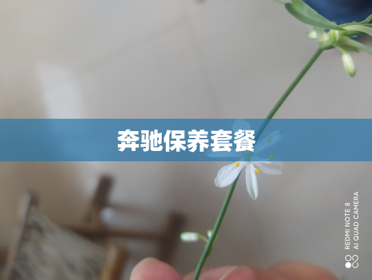 奔驰保养套餐