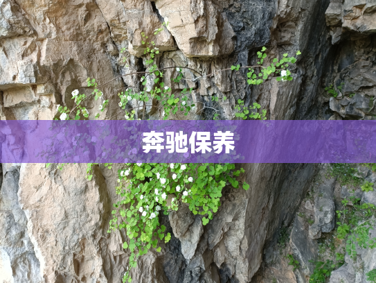 奔驰保养