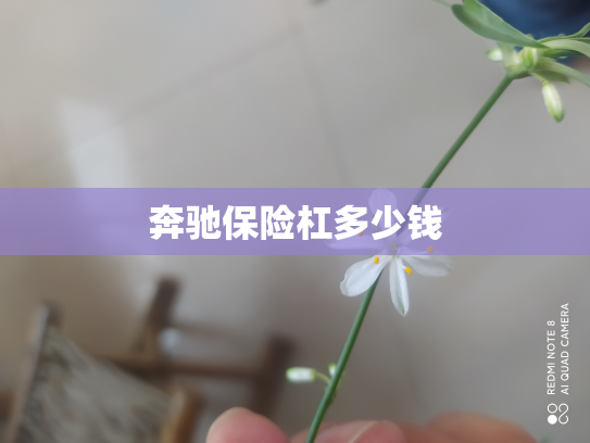 奔驰保险杠多少钱