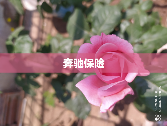 奔驰保险