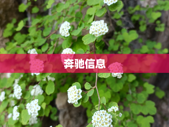 奔驰信息