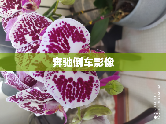 奔驰倒车影像