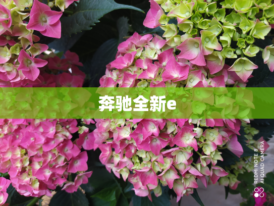 奔驰全新e