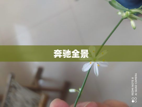 奔驰全景