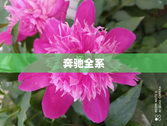 奔驰全系