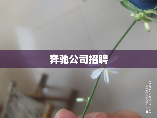 奔驰公司招聘